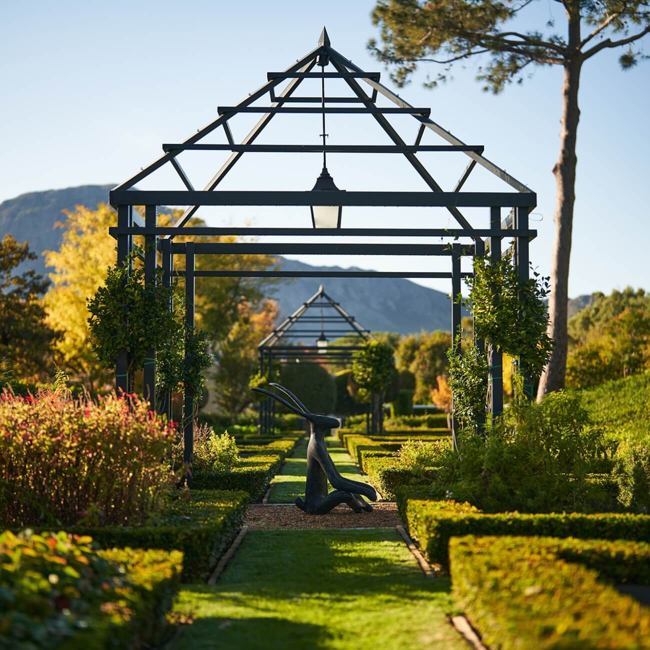 67bc54dcb6590-Leeu Estates - Herb Garden (1)@2x